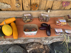 6ddd64d7-fb55-4681-9e29-0b4dae21f66a