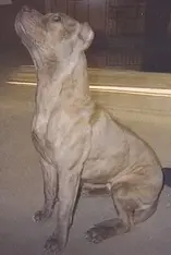 04-09-2005 Karma.webp