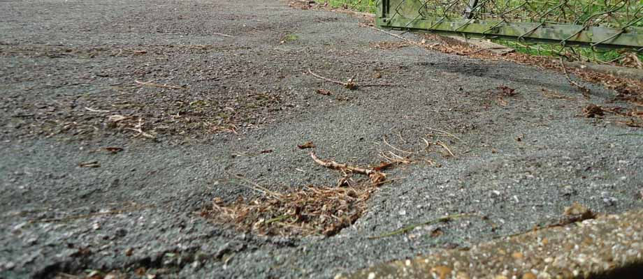 Tennis Court Surface Reconstruction and Preparation | Peter A Housden | Hampshire, Sussex, Surrey, Berkshire & the Isle of White