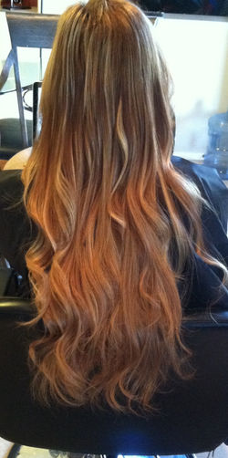 micro links extensions