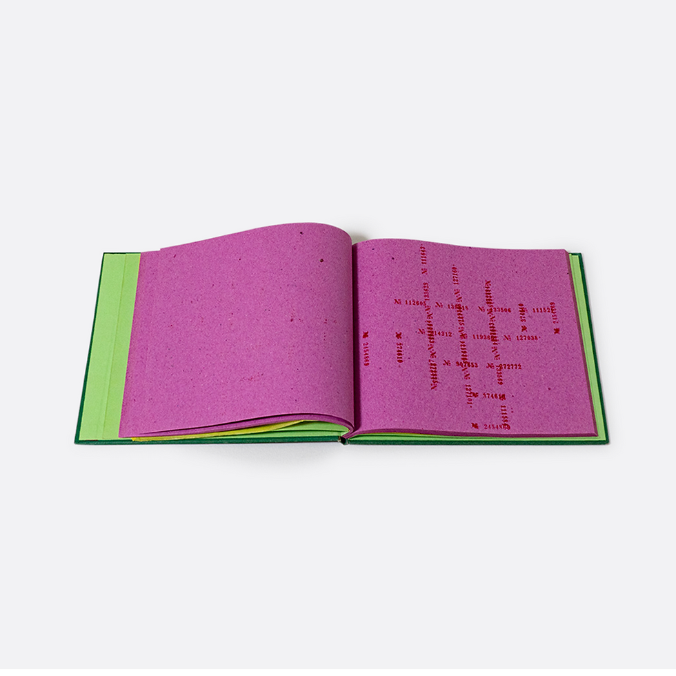 Miniatura: Livro Número