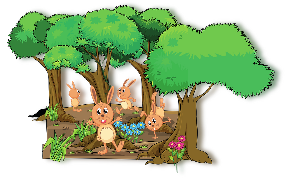 Voorkant Les Bossport.png