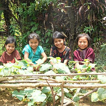NSI Garden Four.JPG