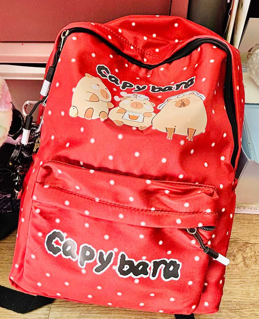 Miniaturbild: Mystery Bags