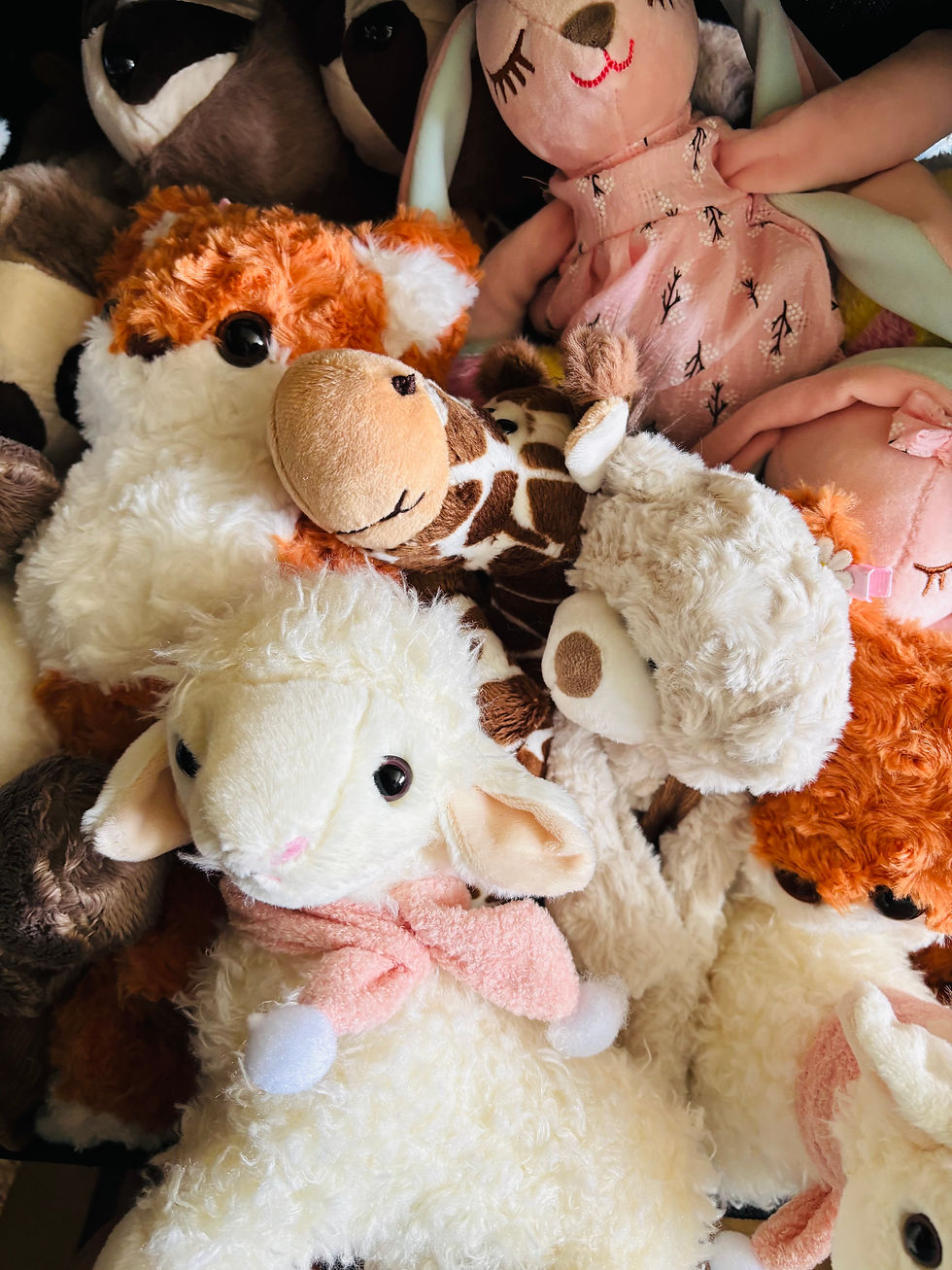 Miniaturbild: Baby Bundle + Strampler (Video TikTok extra bestellen)