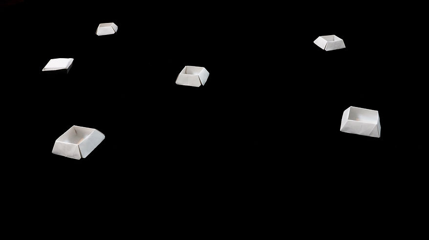 Moorean Viviparous Tree Snail