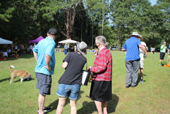 julie mcghee - IMG_2788.JPG