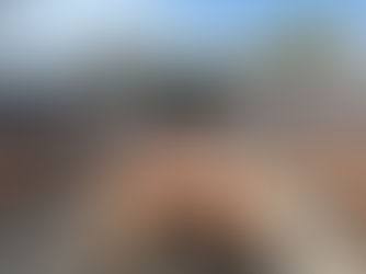 Our new gardens at O'Melveny and Morningside Elementary!