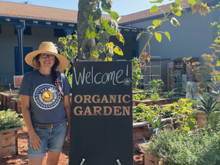 A sample of our curriculum is available now !