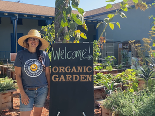 Our Garden Ranger Program goes online!