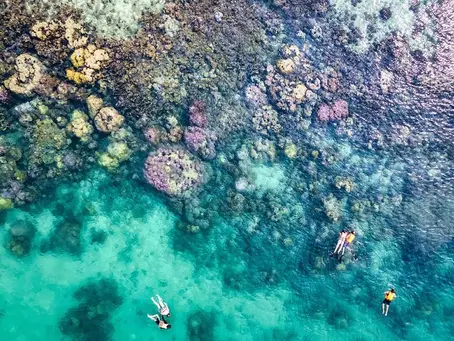 Your March Break Vacation Endangers the Marine Ecosystem