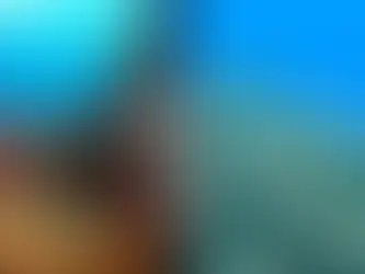 Reef “Safe” or Reef “Friendly” Sunscreens