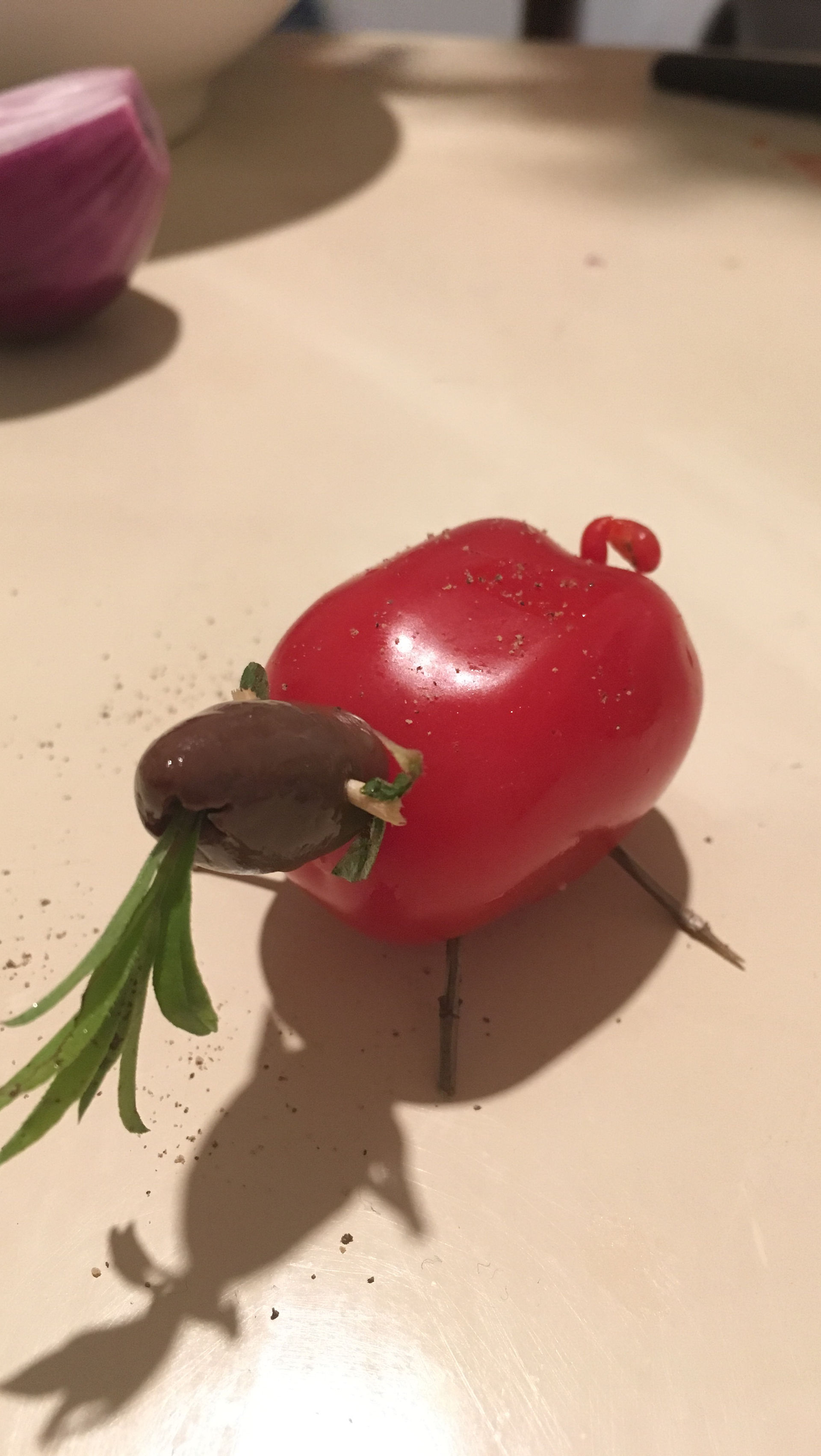 notre compagnon du soir