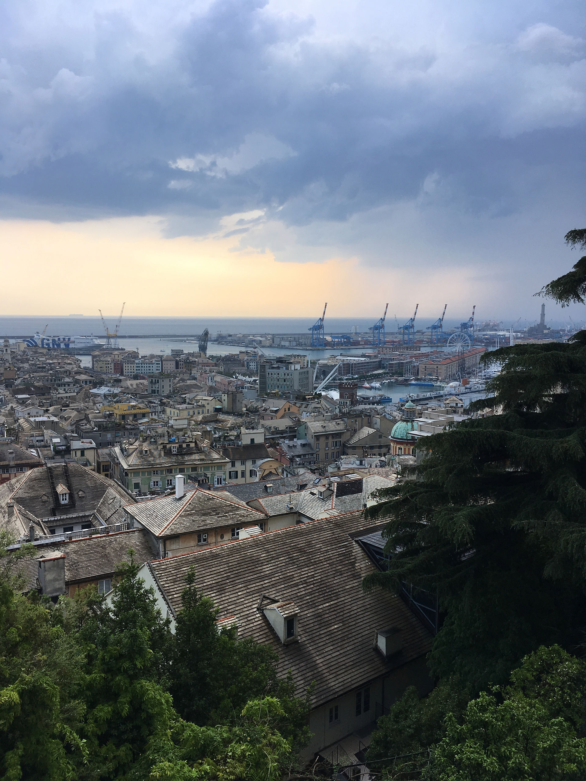 vue d'en haut