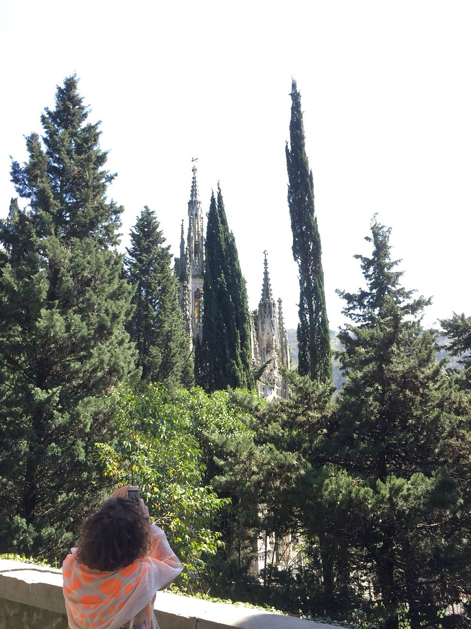 se confondre dans les cimes