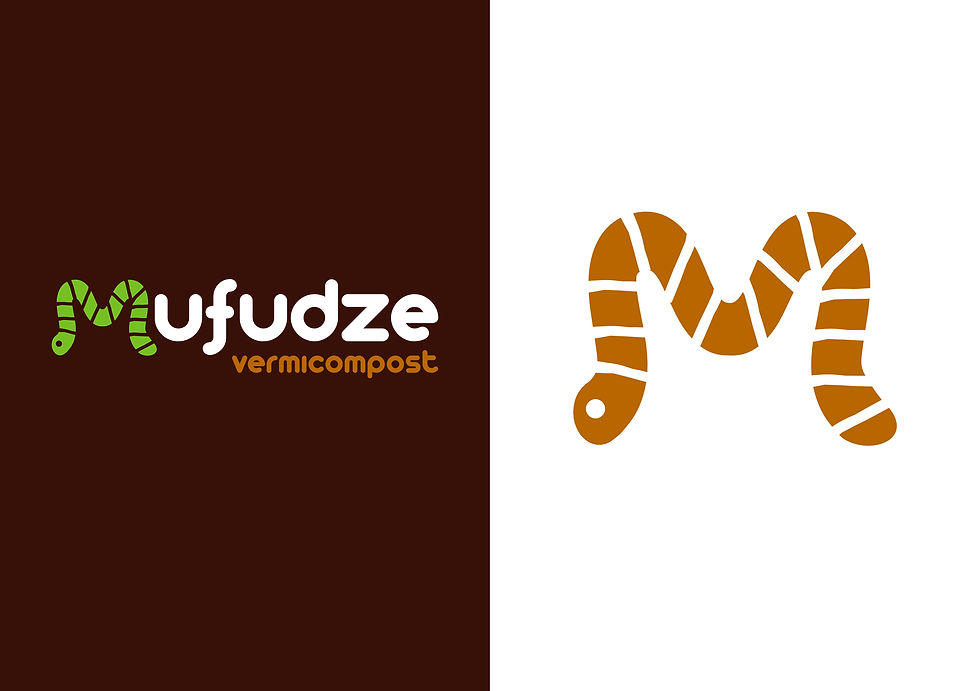 Mufudze Brand Design 2.jpg
