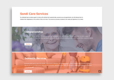 Sondi Care  Website Design