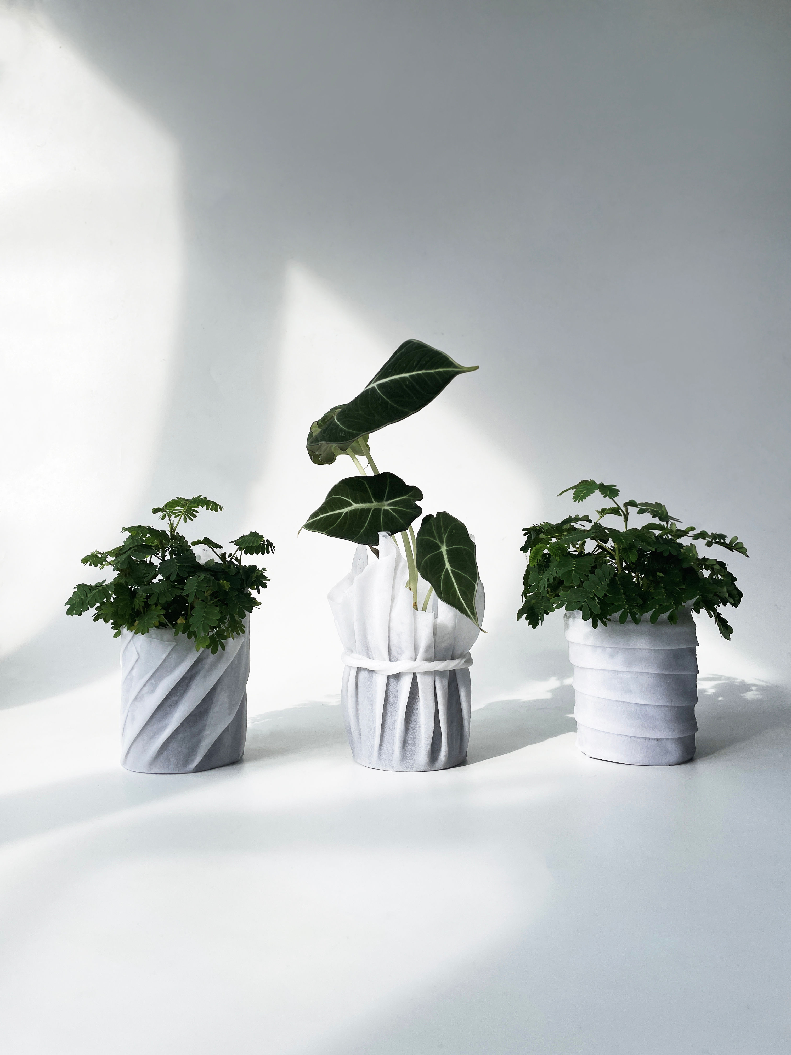 衫生花Resin Cloth Vase DIY Set x Chicks雞仔嘜