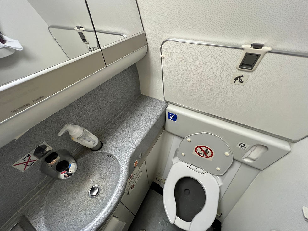 Review: Air France B777 300 Business Class (JFK CDG)