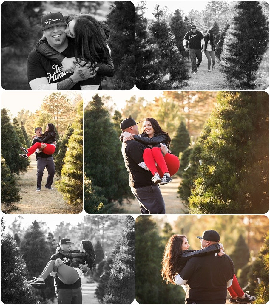 Tree farm photos near me