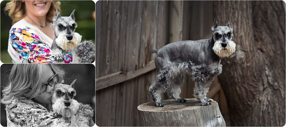 OKC Dog Photographer