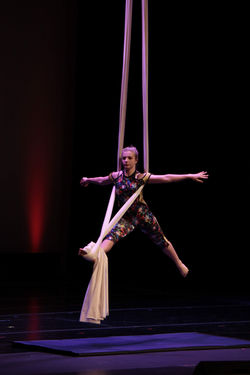 Kinetic Tapestry Performance