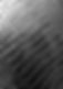 Black Crocodile_edited.jpg
