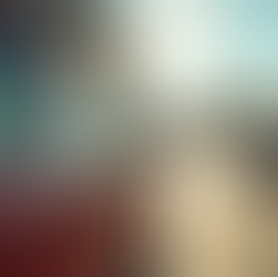 Affordable Window Tinting Solutions for Every Budget