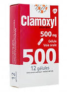 CLAMOXYL® PDRE SP FL/60 500 mg