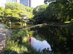 Tokyo - Koishikawa Korakuen Garden