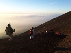 Fuji-san