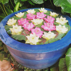 Bangkok - Jim Thompson House