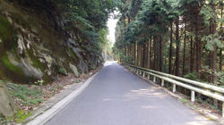 Tsushima Island