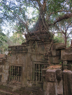 Prasat Beng Mealea