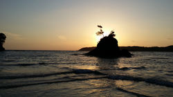 Tsushima Island