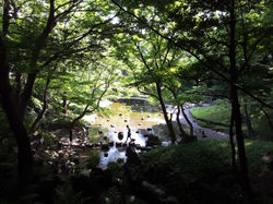 Tokyo - Koishikawa Korakuen Garden