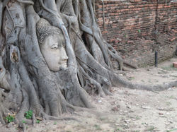 Ayutthaya -Phra Mahatat