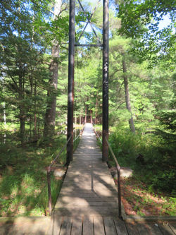 Grayling - Camp Au Sable