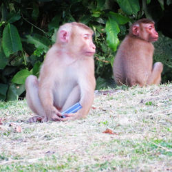 Khao Yai National Park
