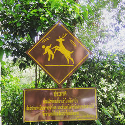 Khao Yai National Park