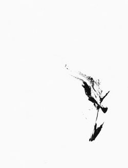 'KOI'