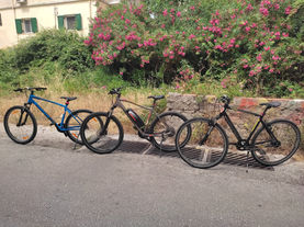 Bicycles - Bike Tours | Corfu Extreme Sports