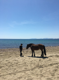 image1.jpeg