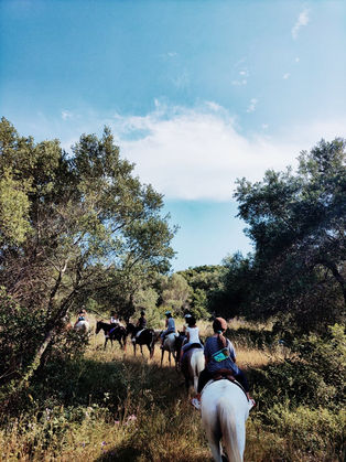 Horse riding on the mountain - Horse riding Corfu Extreme Sports
