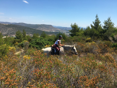 Horse riding vacation trip at Pelion - Horse riding | Athens extreme sports