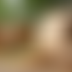 Estratégias de Presença para Marcas Sustentáveis