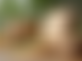 Estratégias de Presença para Marcas Sustentáveis