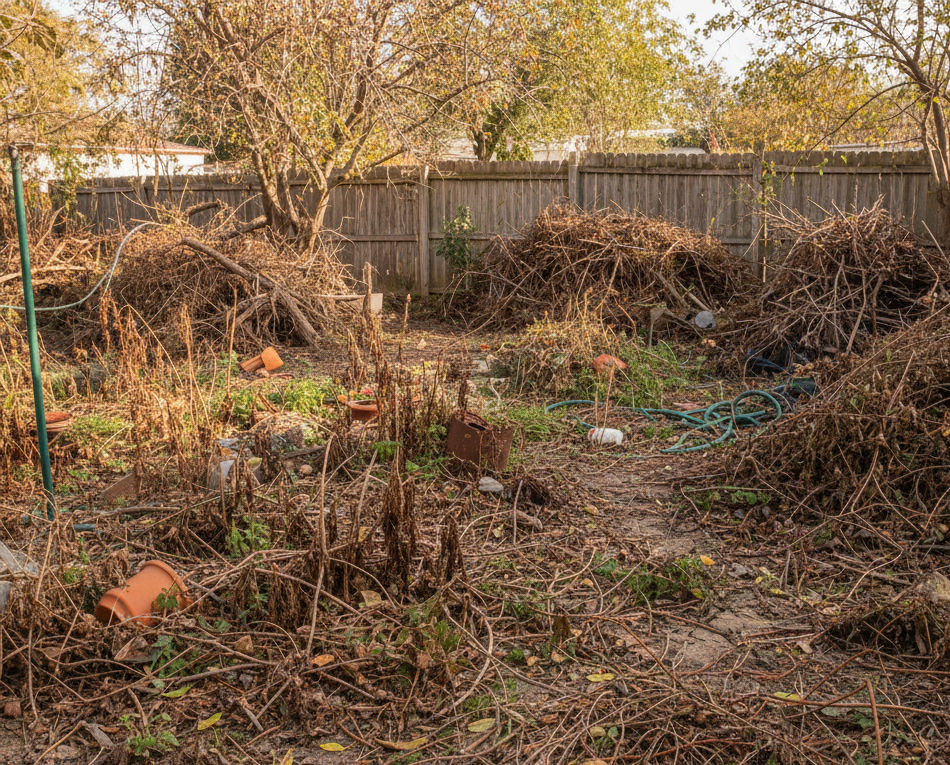 backyard brush and debris.jpg