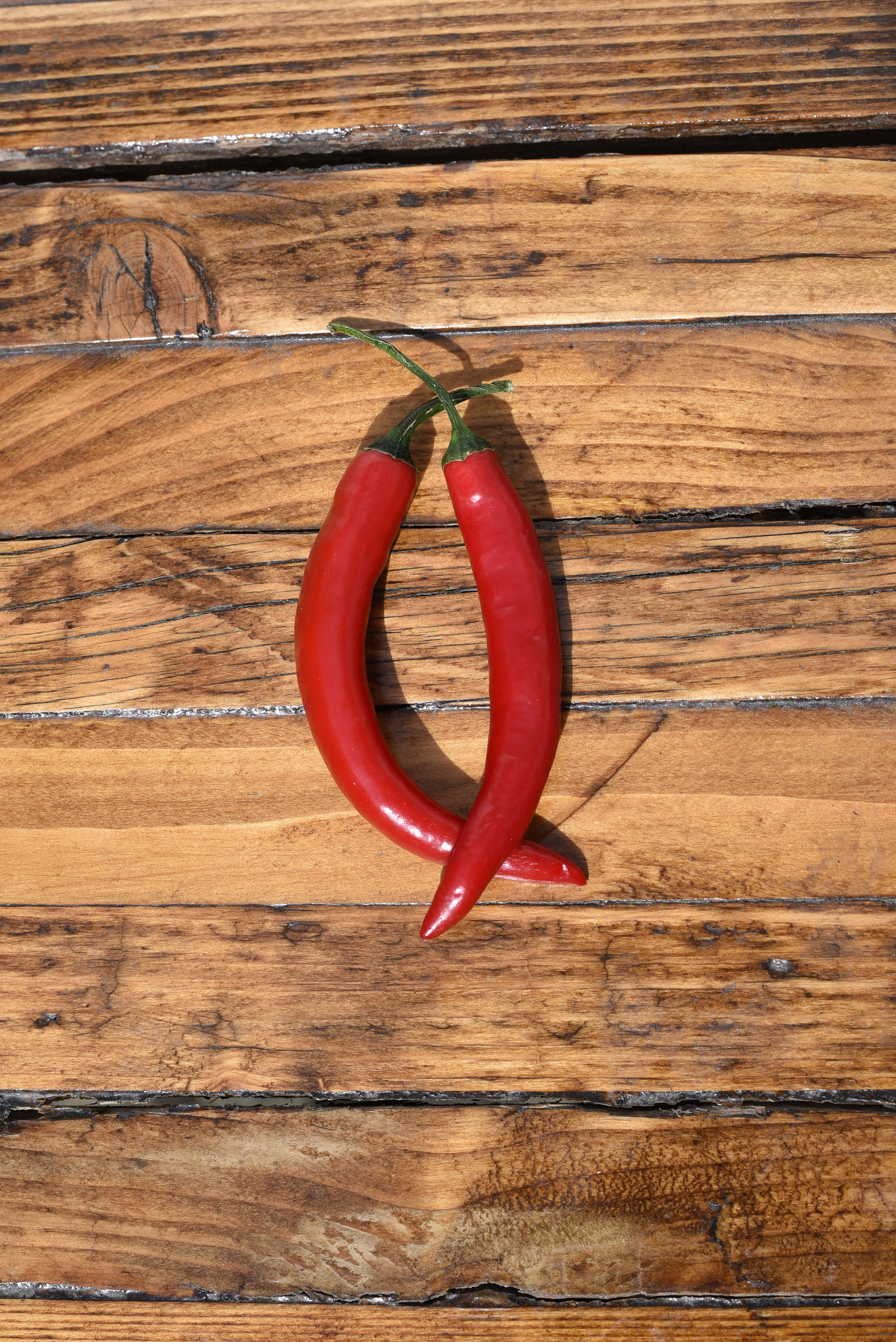 Organic Red Chillies 2