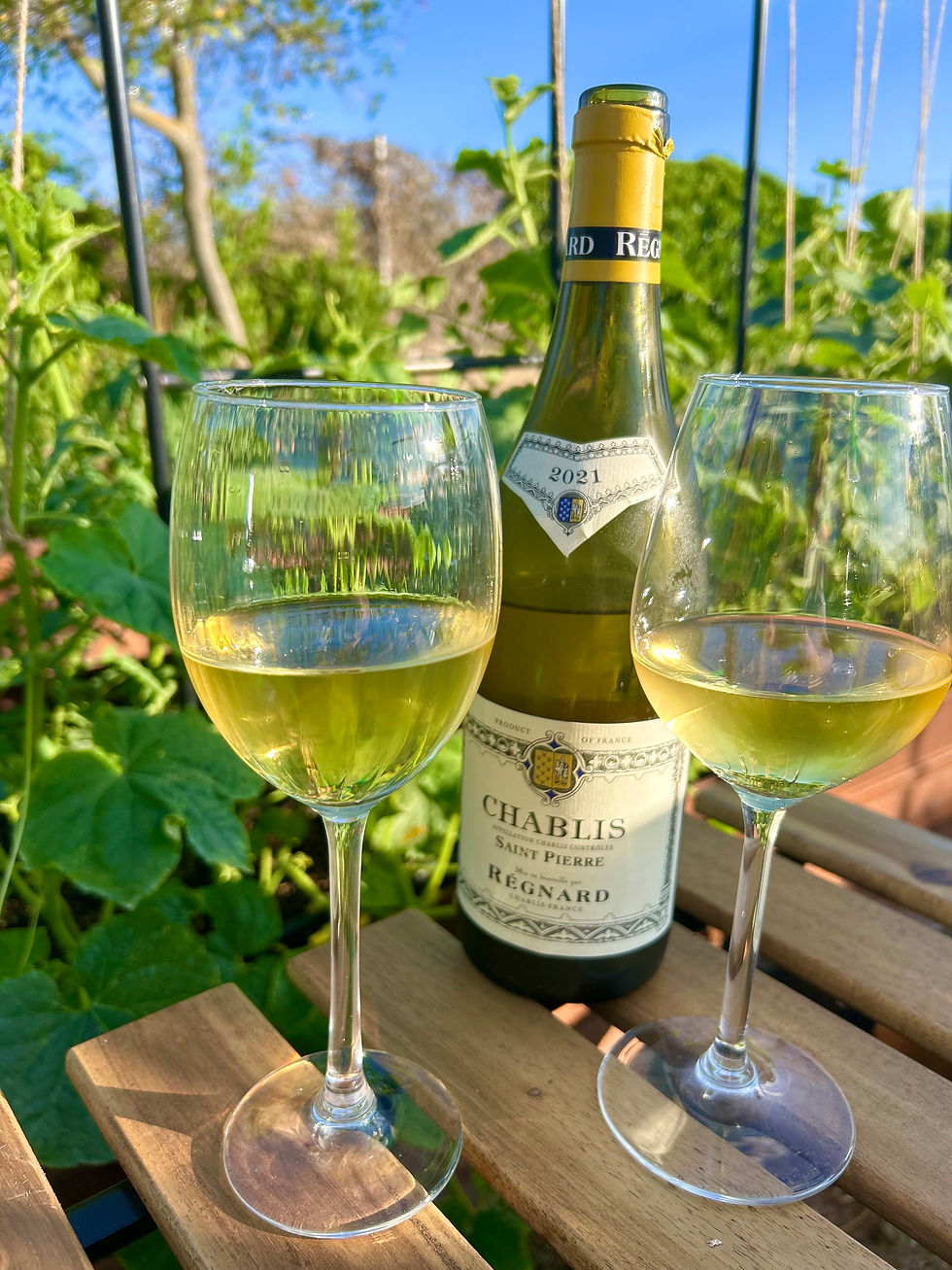 Two glasses of white wine and a Chablis bottle on a wooden table surrounded by green plants on a sunny day.